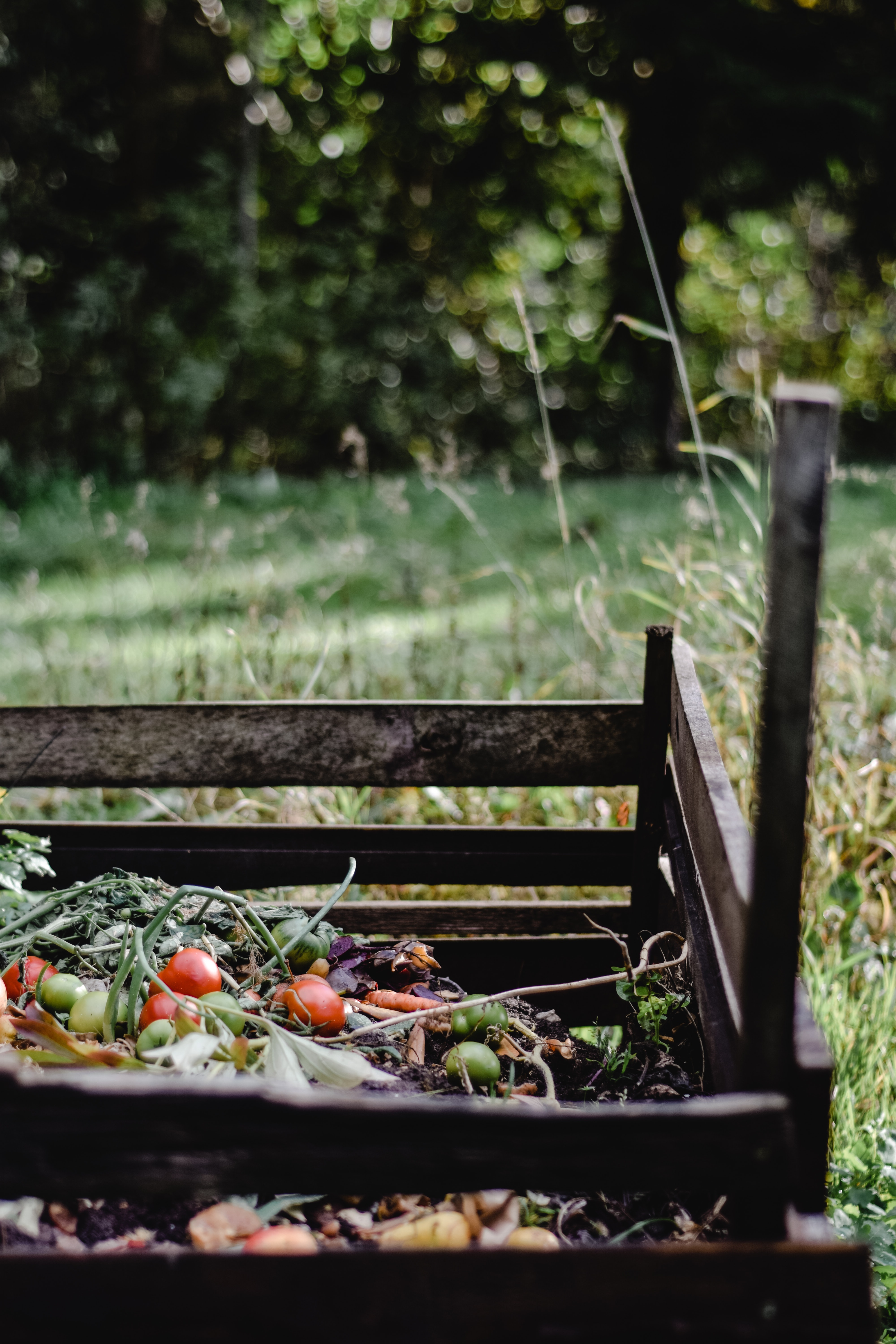 emballages écoresponsables des biens de consommation